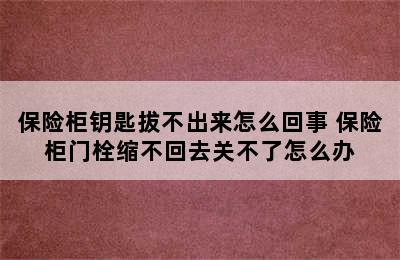 保险柜钥匙拔不出来怎么回事 保险柜门栓缩不回去关不了怎么办